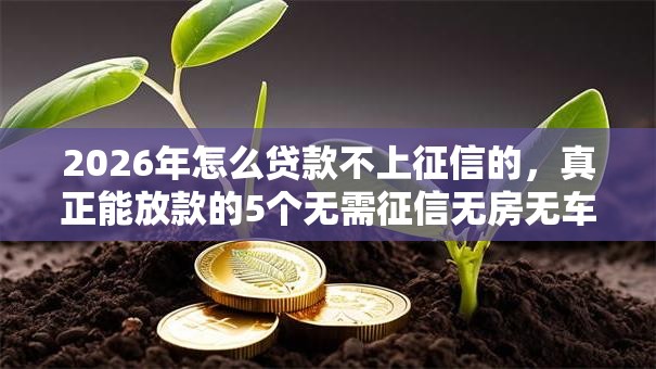 2026年怎么贷款不上征信的，真正能放款的5个无需征信无房无车能借钱的贷款平台推荐