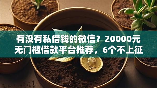 有没有私借钱的微信?20000元无门槛借款平台推荐,6个不上征信记录的贷款平台盘点 有没有私借钱的微信?20000元无门槛借款平台推荐,6个不上征信记录的贷款平台盘点