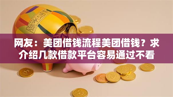 网友：美团借钱流程美团借钱？求介绍几款借款平台容易通过不看征信