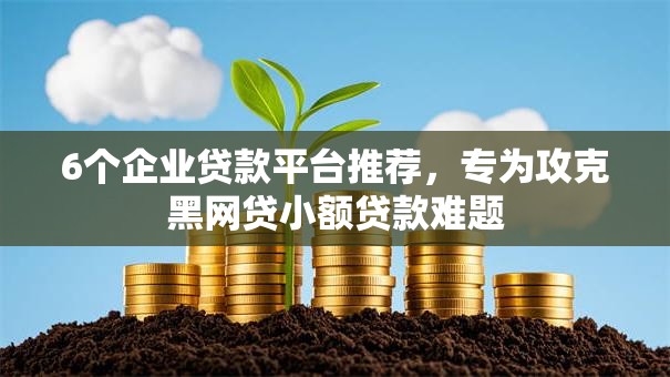 6个企业贷款平台推荐，专为攻克黑网贷小额贷款难题