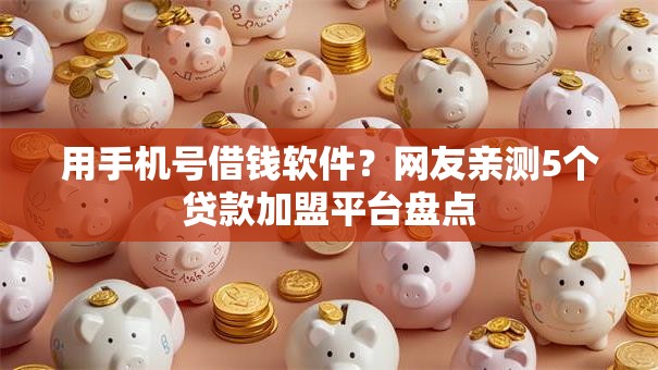 用手机号借钱软件？网友亲测5个贷款加盟平台盘点