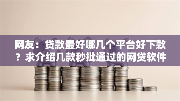 网友：贷款最好哪几个平台好下款？求介绍几款秒批通过的网贷软件