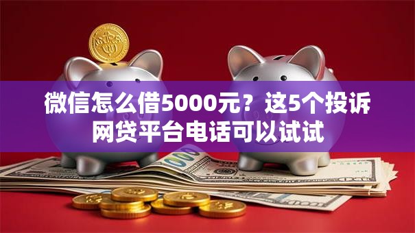 微信怎么借5000元？这5个投诉网贷平台电话可以试试