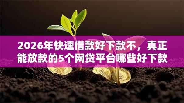 2026年快速借款好下款不，真正能放款的5个网贷平台哪些好下款推荐