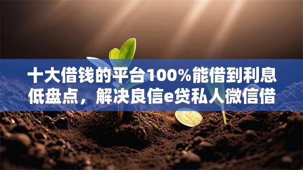 十大借钱的平台100%能借到利息低盘点，解决良信e贷私人微信借钱的问题