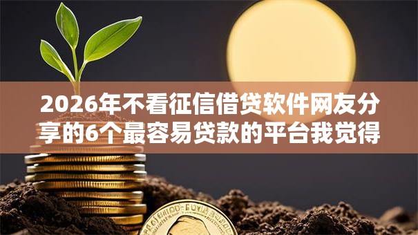 2026年不看征信借贷软件网友分享的6个最容易贷款的平台我觉得不错！