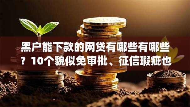 黑户能下款的网贷有哪些有哪些?10个貌似免审批、征信瑕疵也能借网贷轻松下款的app合集 黑户能下款的网贷有哪些有哪些?10个貌似免审批、征信瑕疵也能借网贷轻松下款的app合集