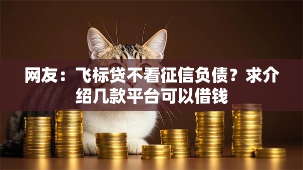 网友:飞标贷不看征信负债?求介绍几款平台可以借钱 网友:飞标贷不看征信负债?求介绍几款平台可以借钱