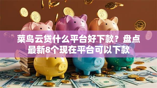 菜鸟云贷什么平台好下款？盘点最新8个现在平台可以下款
