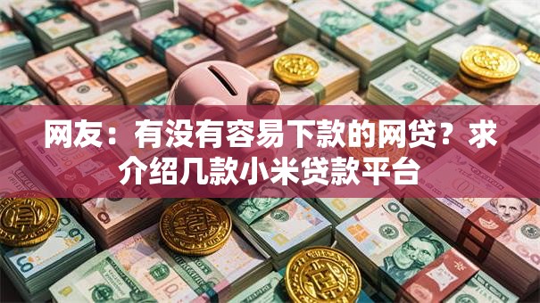 网友：有没有容易下款的网贷？求介绍几款小米贷款平台