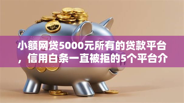 小额网贷5000元所有的贷款平台，信用白条一直被拒的5个平台介绍