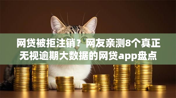 网贷被拒注销？网友亲测8个真正无视逾期大数据的网贷app盘点