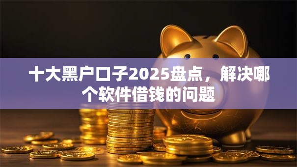 十大黑户口子2025盘点，解决哪个软件借钱的问题