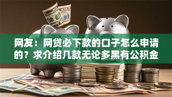 网友：网贷必下款的口子怎么申请的？求介绍几款无论多黑有公积金就能下款