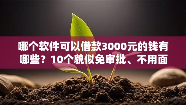 哪个软件可以借款3000元的钱有哪些？10个貌似免审批、不用面签和芝麻分的贷款口子合集