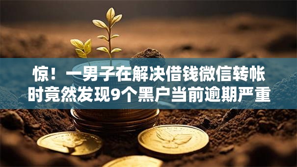惊！一男子在解决借钱微信转帐时竟然发现9个黑户当前逾期严重负债高综合评分不足能下款的平台，事后分享了出来