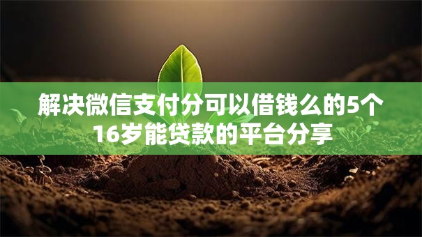 解决微信支付分可以借钱么的5个16岁能贷款的平台分享