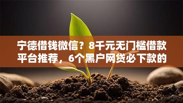 宁德借钱微信？8千元无门槛借款平台推荐，6个黑户网贷必下款的平台盘点