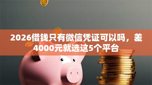 2026借钱只有微信凭证可以吗,差4000元就选这5个平台 2026借钱只有微信凭证可以吗,差4000元就选这5个平台