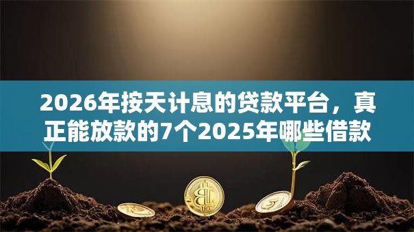 2026年按天计息的贷款平台，真正能放款的7个2025年哪些借款平台不查征信大数据推荐