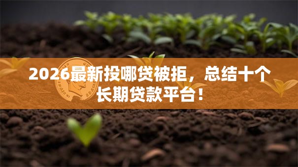 2026最新投哪贷被拒，总结十个长期贷款平台！