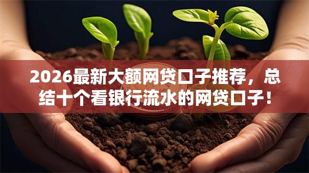 2026最新大额网贷口子推荐，总结十个看银行流水的网贷口子！