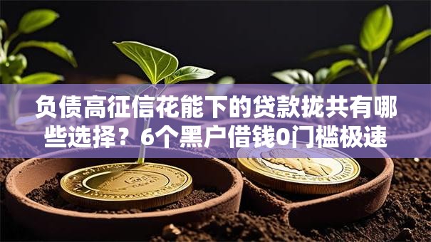 负债高征信花能下的贷款拢共有哪些选择？6个黑户借钱0门槛极速下款口子详解