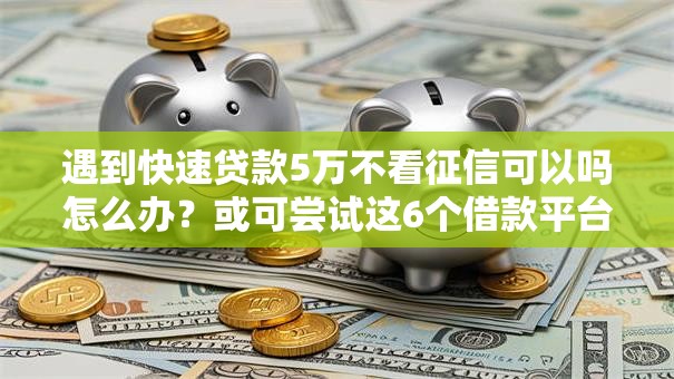 遇到快速贷款5万不看征信可以吗怎么办？或可尝试这6个借款平台贷款额度高