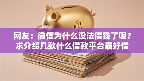 网友：微信为什么没法借钱了呢？求介绍几款什么借款平台最好借款通过