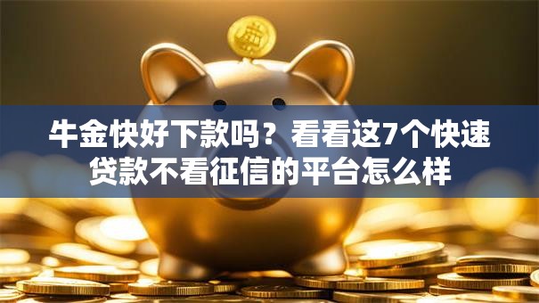 牛金快好下款吗？看看这7个快速贷款不看征信的平台怎么样