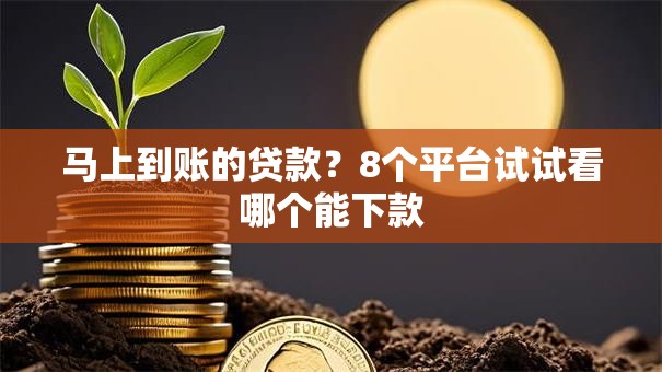 马上到账的贷款?8个平台试试看哪个能下款 马上到账的贷款?8个平台试试看哪个能下款