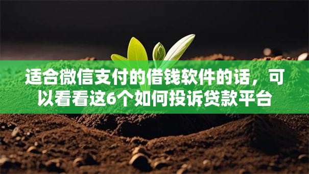 适合微信支付的借钱软件的话，可以看看这6个如何投诉贷款平台