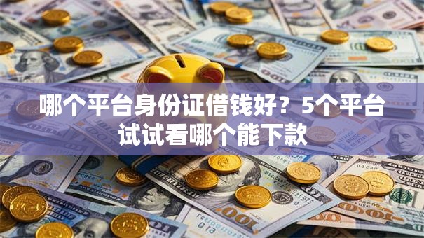 哪个平台身份证借钱好？5个平台试试看哪个能下款