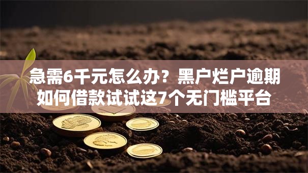 急需6千元怎么办？黑户烂户逾期如何借款试试这7个无门槛平台