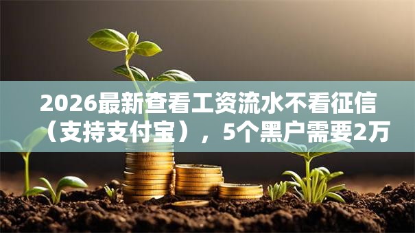2026最新查看工资流水不看征信（支持支付宝），5个黑户需要2万可以在借款平台借款无私分享