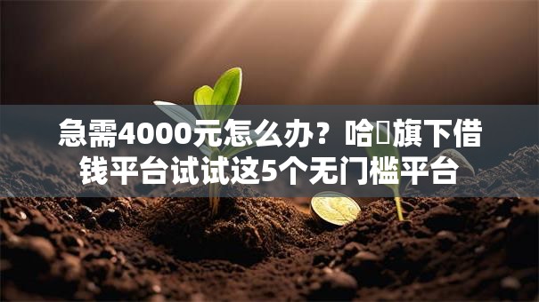 急需4000元怎么办？哈啰旗下借钱平台试试这5个无门槛平台