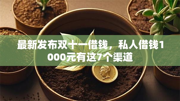 最新发布双十一借钱，私人借钱1000元有这7个渠道