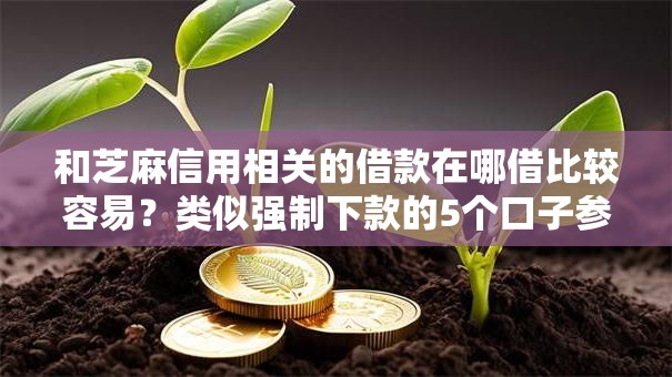 和芝麻信用相关的借款在哪借比较容易？类似强制下款的5个口子参考