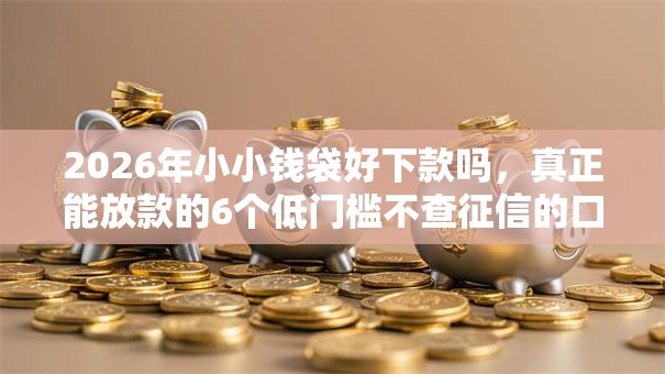 2026年小小钱袋好下款吗,真正能放款的6个低门槛不查征信的口子推荐 2026年小小钱袋好下款吗,真正能放款的6个低门槛不查征信的口子推荐