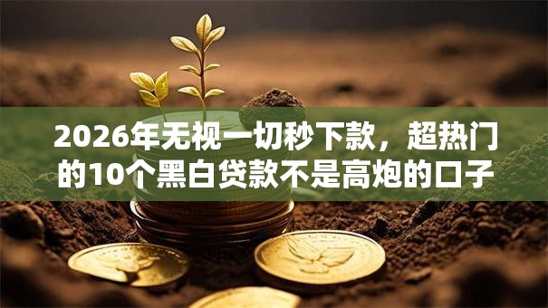 2026年无视一切秒下款，超热门的10个黑白贷款不是高炮的口子推荐