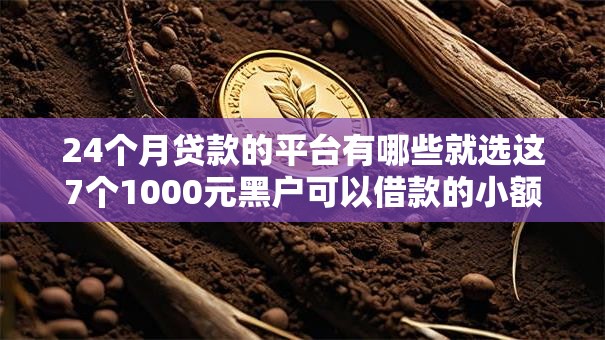 24个月贷款的平台有哪些就选这7个1000元黑户可以借款的小额平台