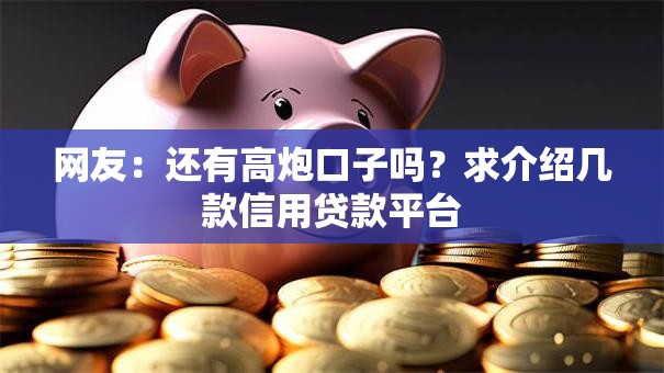 网友:还有高炮口子吗?求介绍几款信用贷款平台 网友:还有高炮口子吗?求介绍几款信用贷款平台