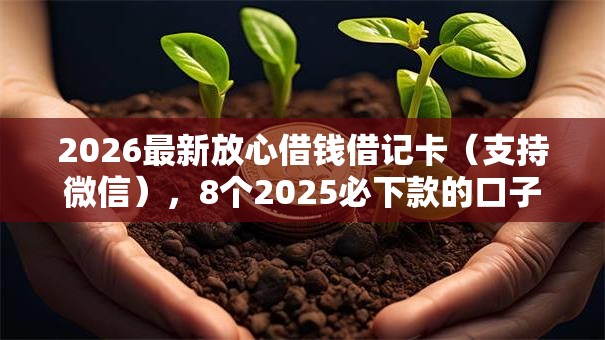 2026最新放心借钱借记卡（支持微信），8个2025必下款的口子无私分享