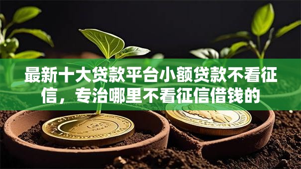最新十大贷款平台小额贷款不看征信，专治哪里不看征信借钱的