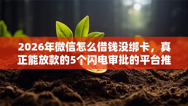 2026年微信怎么借钱没绑卡，真正能放款的5个闪电审批的平台推荐
