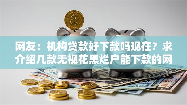网友：机构贷款好下款吗现在？求介绍几款无视花黑烂户能下款的网贷