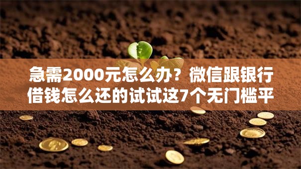 急需2000元怎么办？微信跟银行借钱怎么还的试试这7个无门槛平台