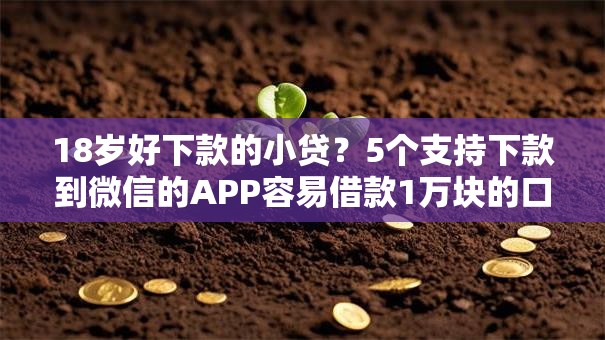 18岁好下款的小贷？5个支持下款到微信的APP容易借款1万块的口子