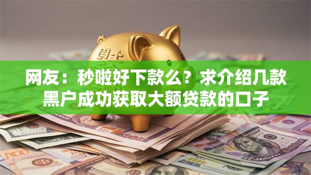 网友：秒啦好下款么？求介绍几款黑户成功获取大额贷款的口子