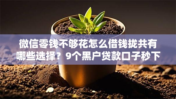 微信零钱不够花怎么借钱拢共有哪些选择？9个黑户贷款口子秒下的详解